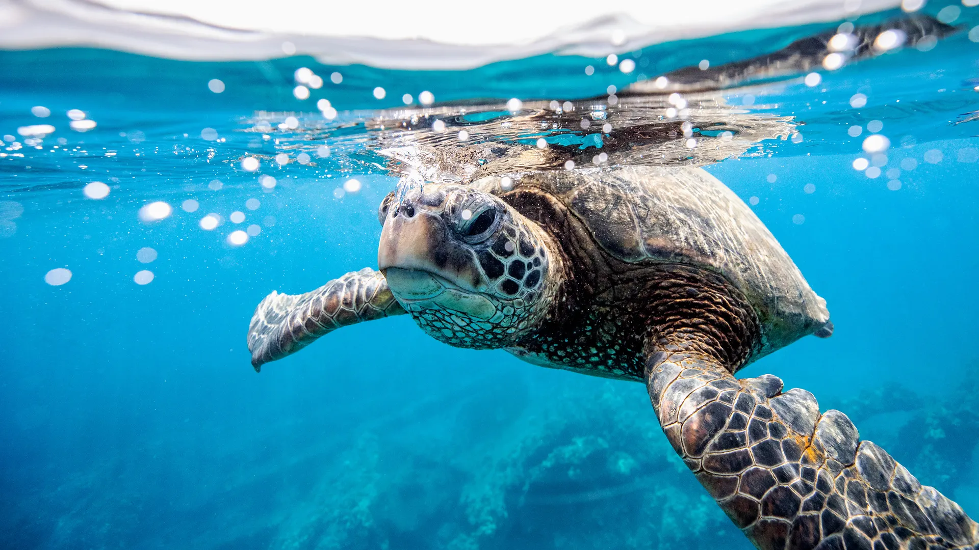 Mietwagenrundreise Exotisches Hawaii