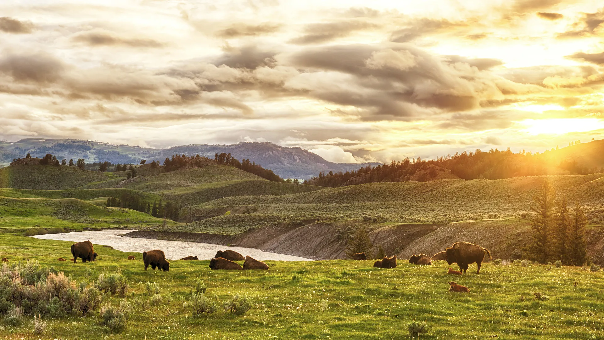 Mietwagenrundreise Rocky Mountains, Yellowstone & unendliche Prärie