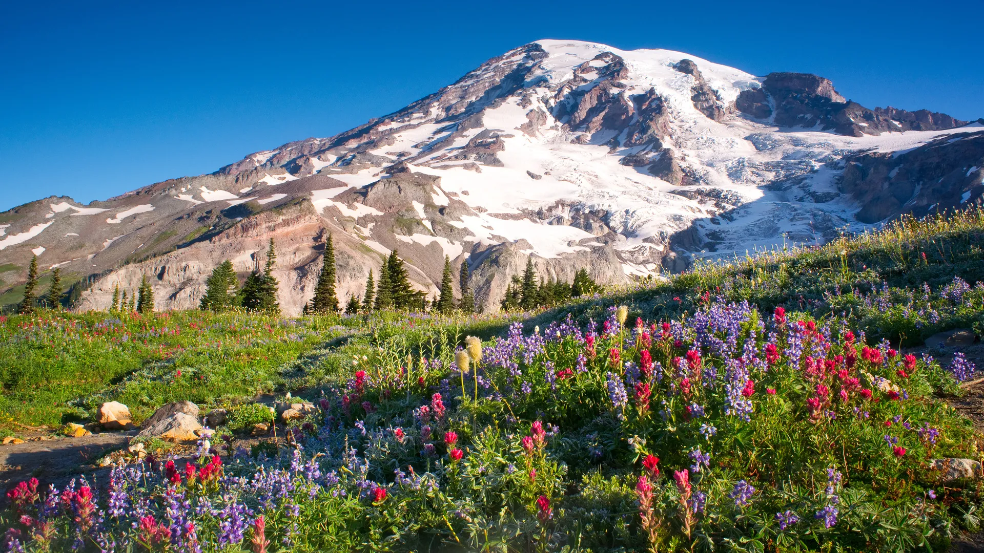 Mietwagenrundreise Der pazifische Nordwesten