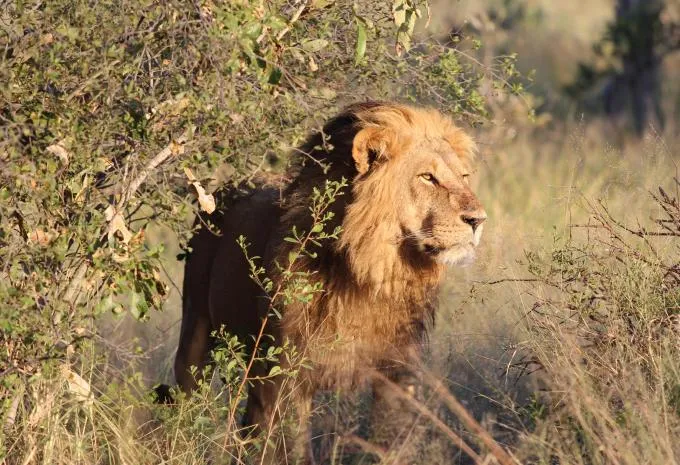 Traumhaftes Südafrika