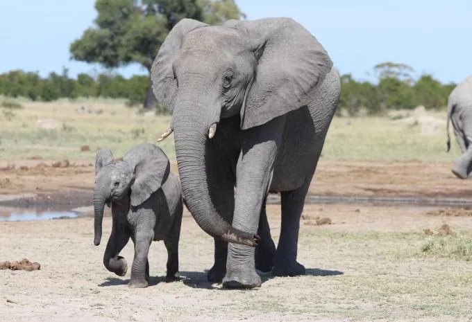 Traumhaftes Südafrika