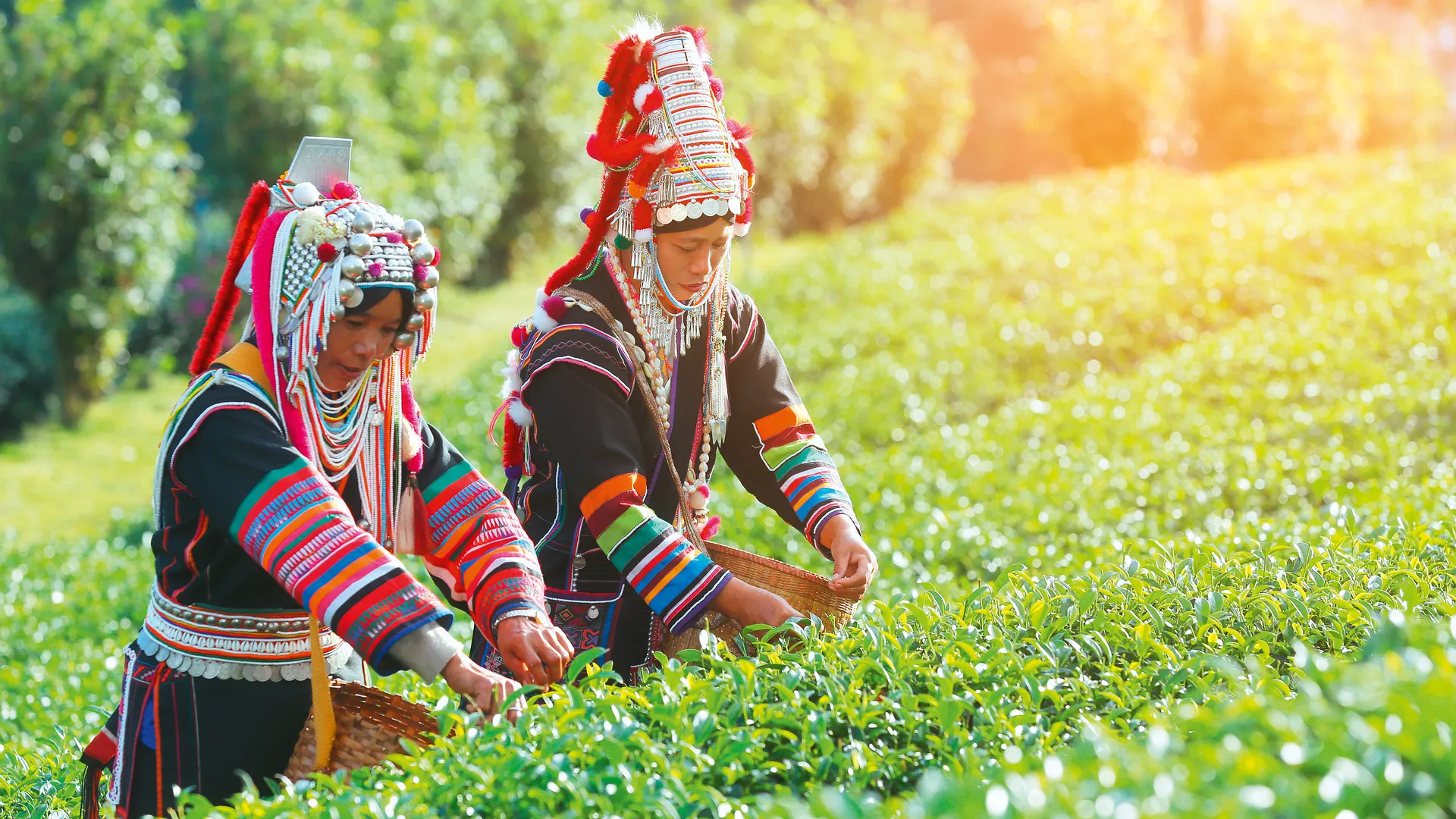 Exotisches Nordthailand