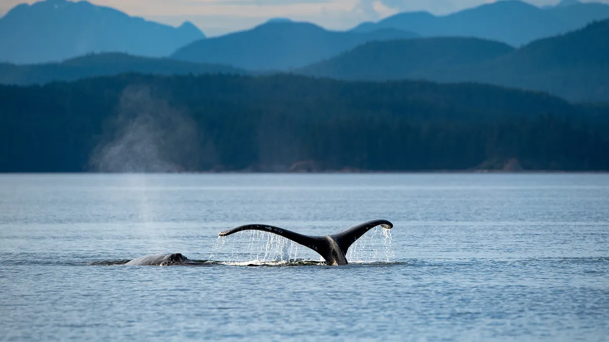 Vancouver & Alaska "Von Citylights zu Gletscherwelten"