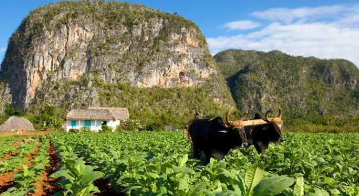 Kuba - nachhaltig & authentisch