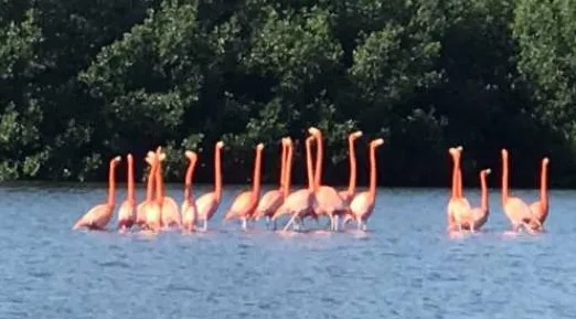 Kuba - nachhaltig & authentisch