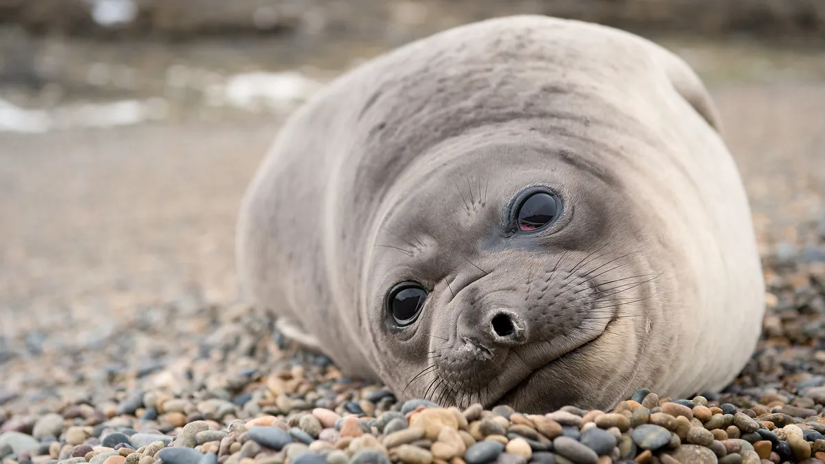 Große Argentinien Rundreise