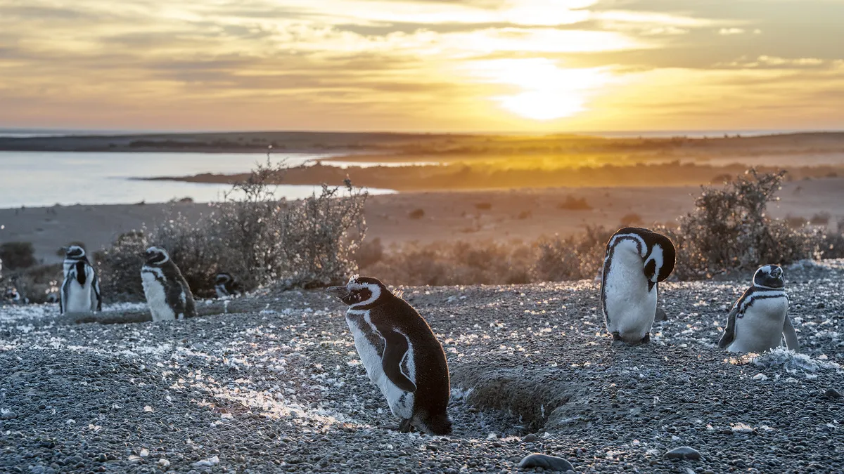 Große Argentinien Rundreise