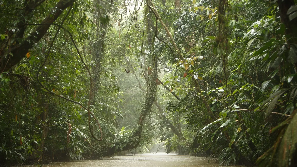 Höhepunkte Costa Rica