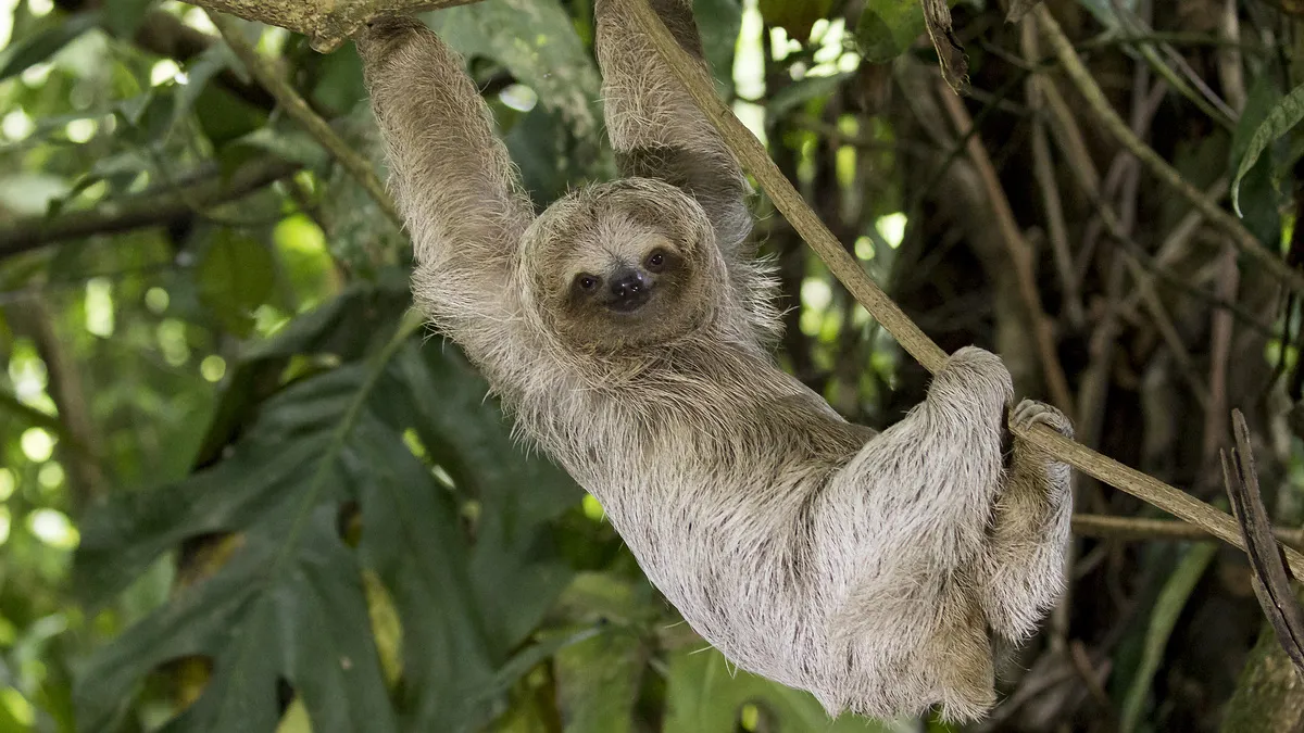 Höhepunkte Costa Rica