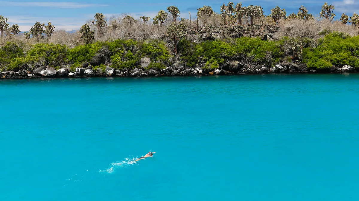 Galapagos Inselhüpfen - San Cristobal & Santa Cruz
