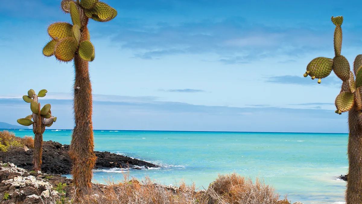 Galapagos Inselhüpfen - San Cristobal & Santa Cruz