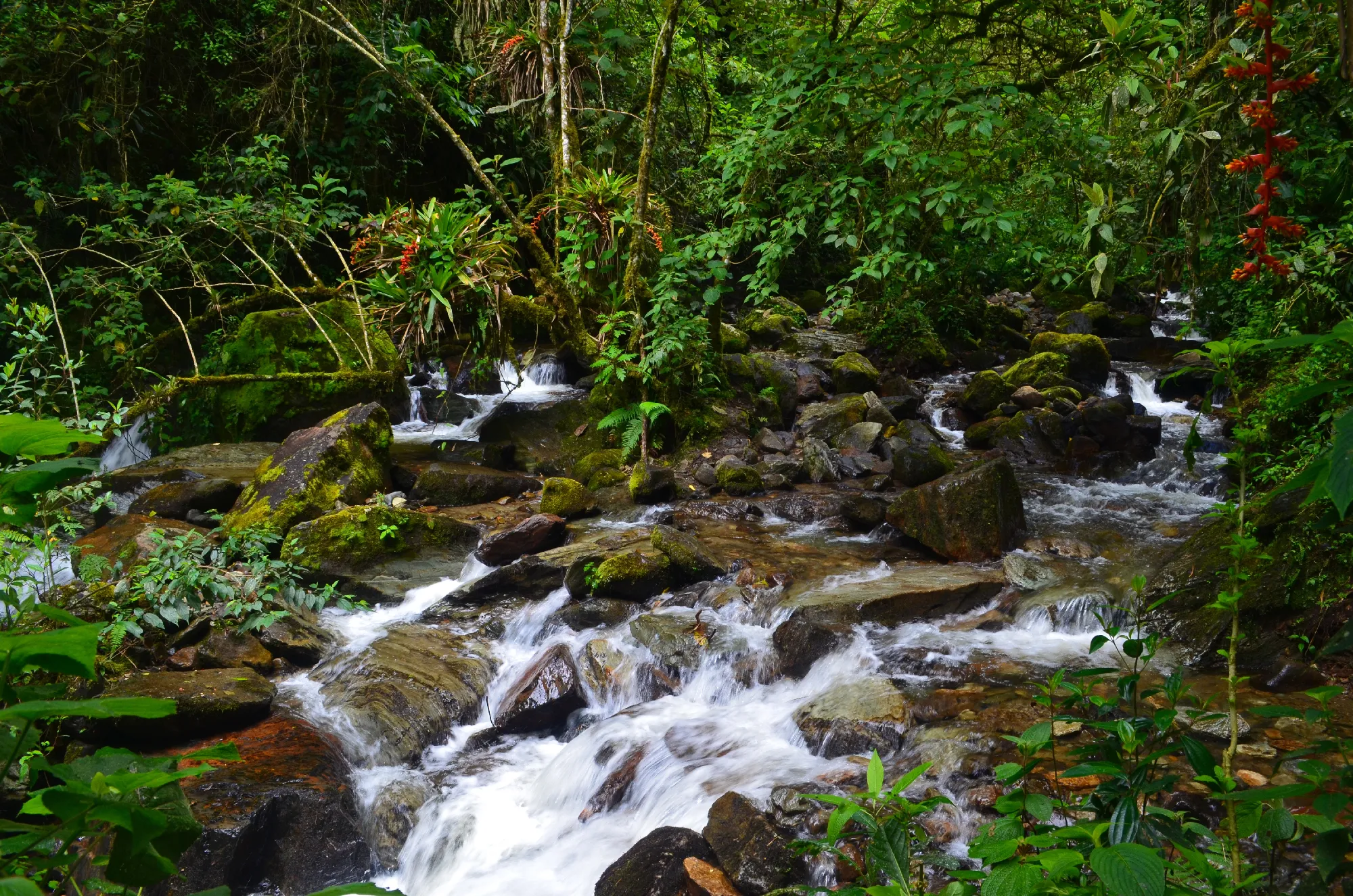 Einzigartiges Kolumbien
