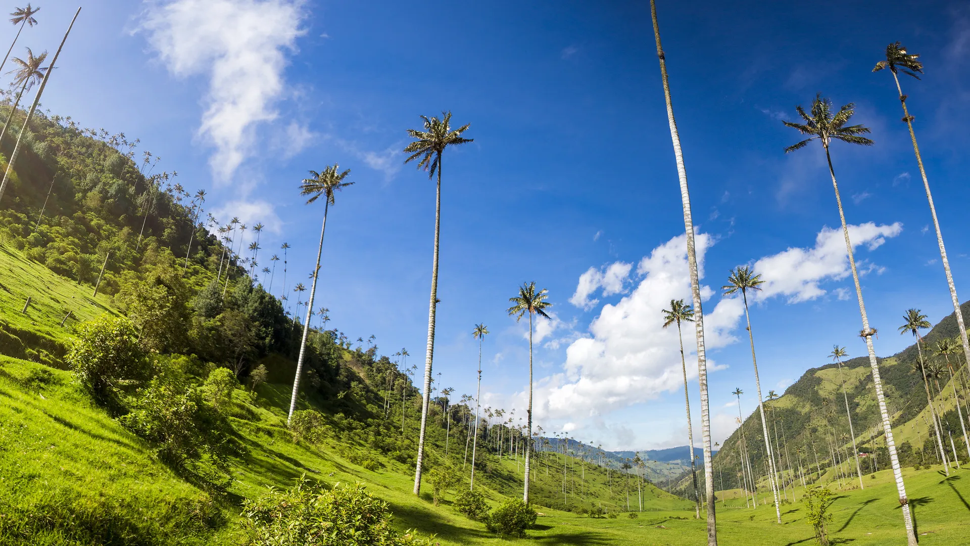 Höhepunkte Kolumbiens