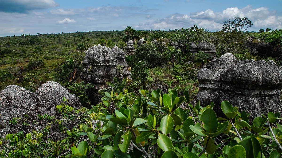 KOLUMBIEN Caño Cristales – einzigartiger Regenbogenfluss