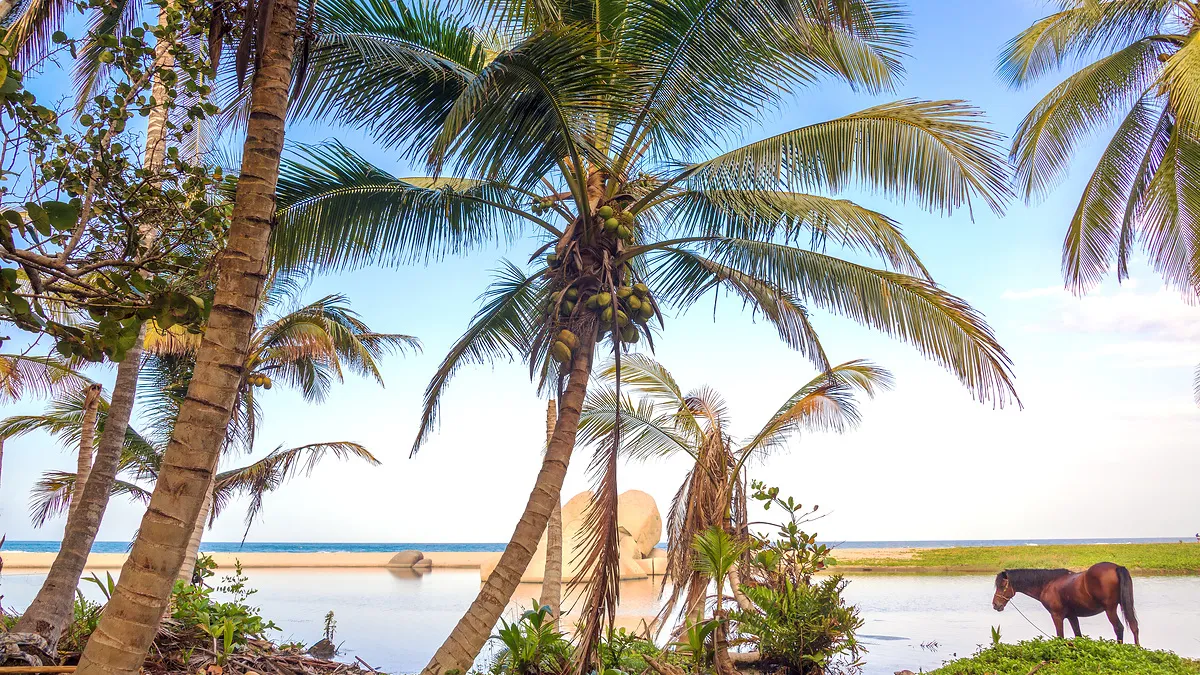 KOLUMBIEN Caño Cristales – einzigartiger Regenbogenfluss