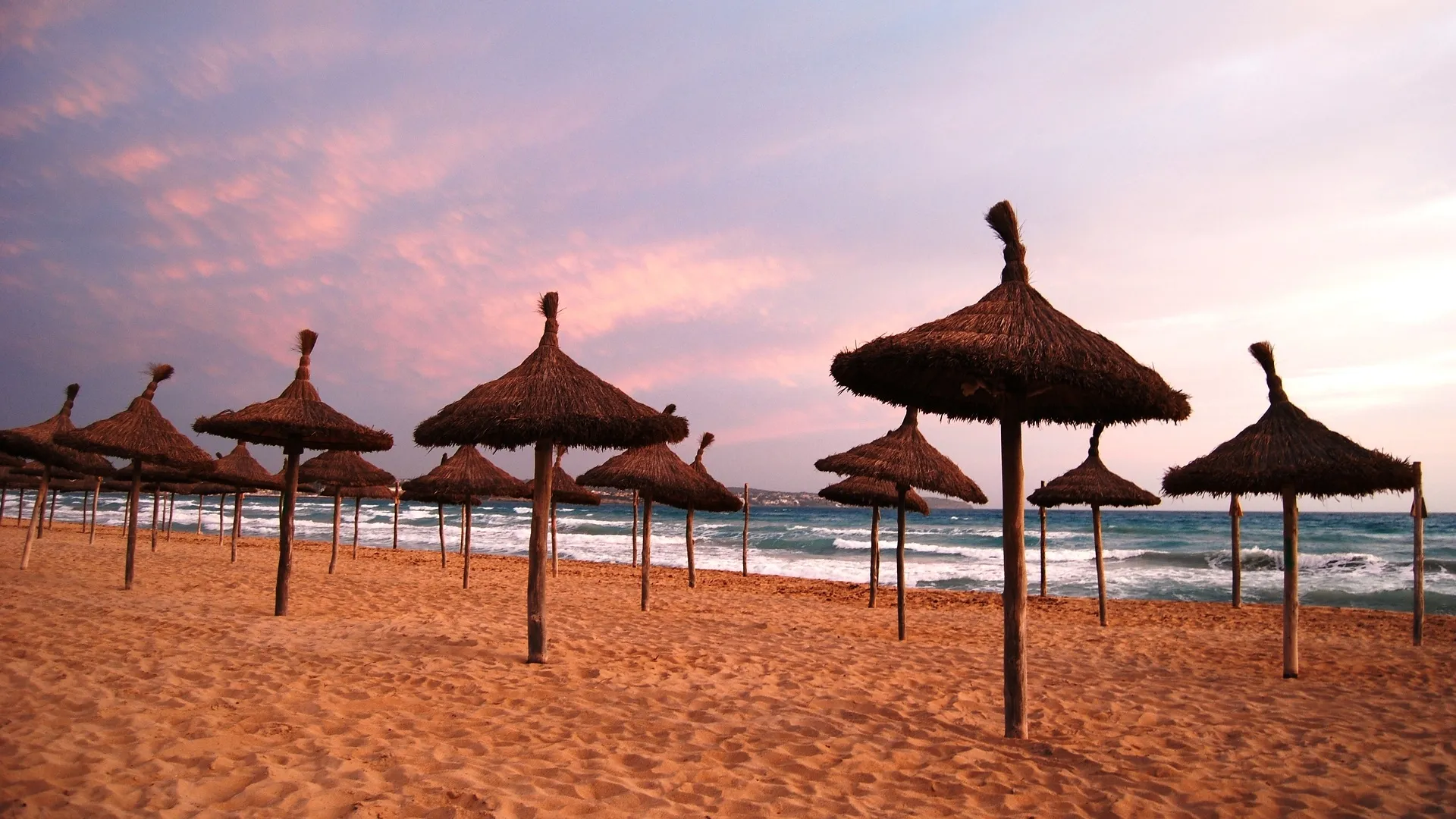 Venecia Paguera Hotel ab/bis Graz oder Wien