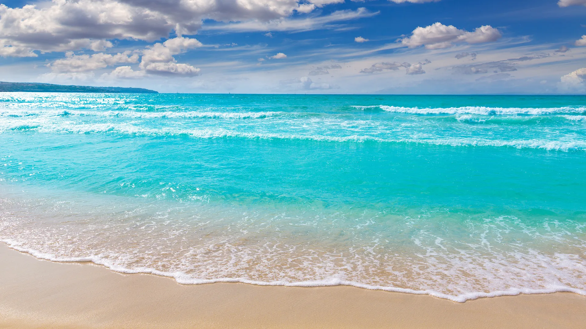 Venecia Paguera Hotel ab/bis Graz oder Wien