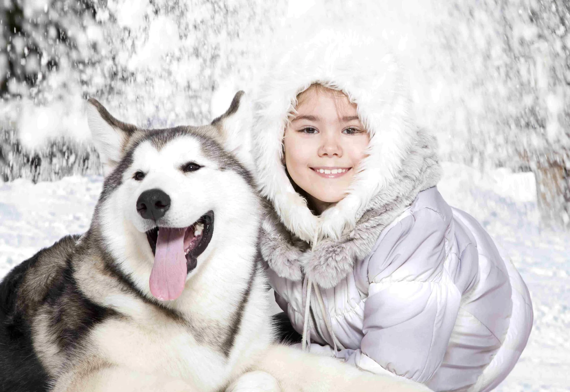 Winterferien in Lappland