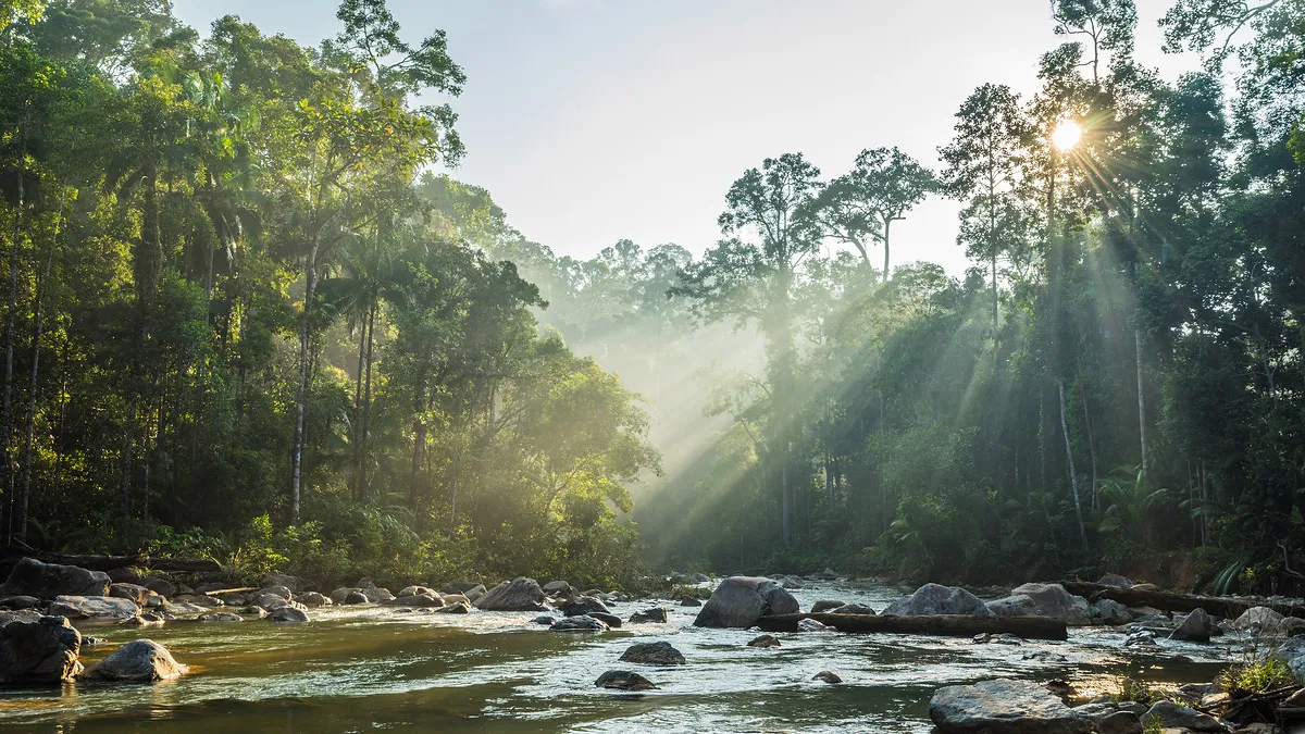 MALAYSIA | Tropenwunder