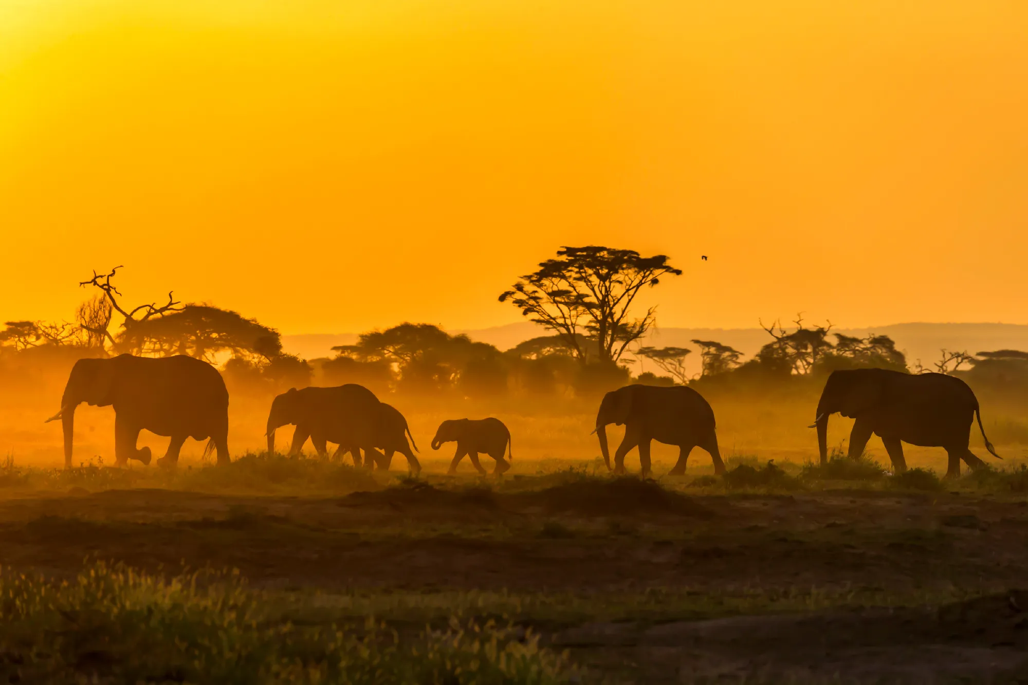 Südafrika - Impressionen