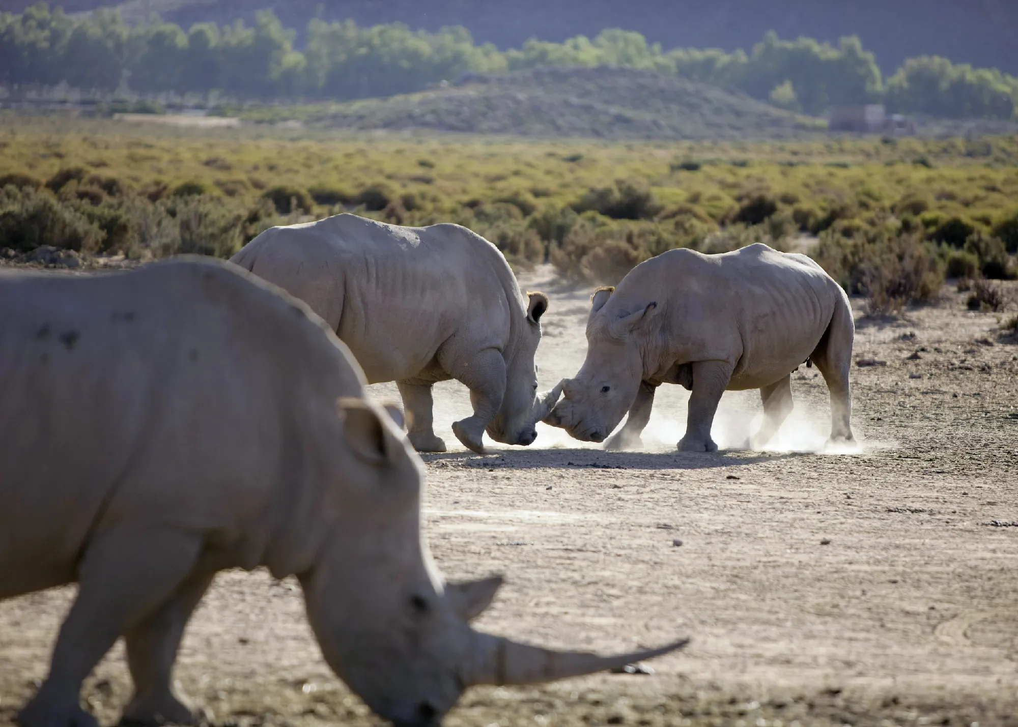 Südafrika - Impressionen