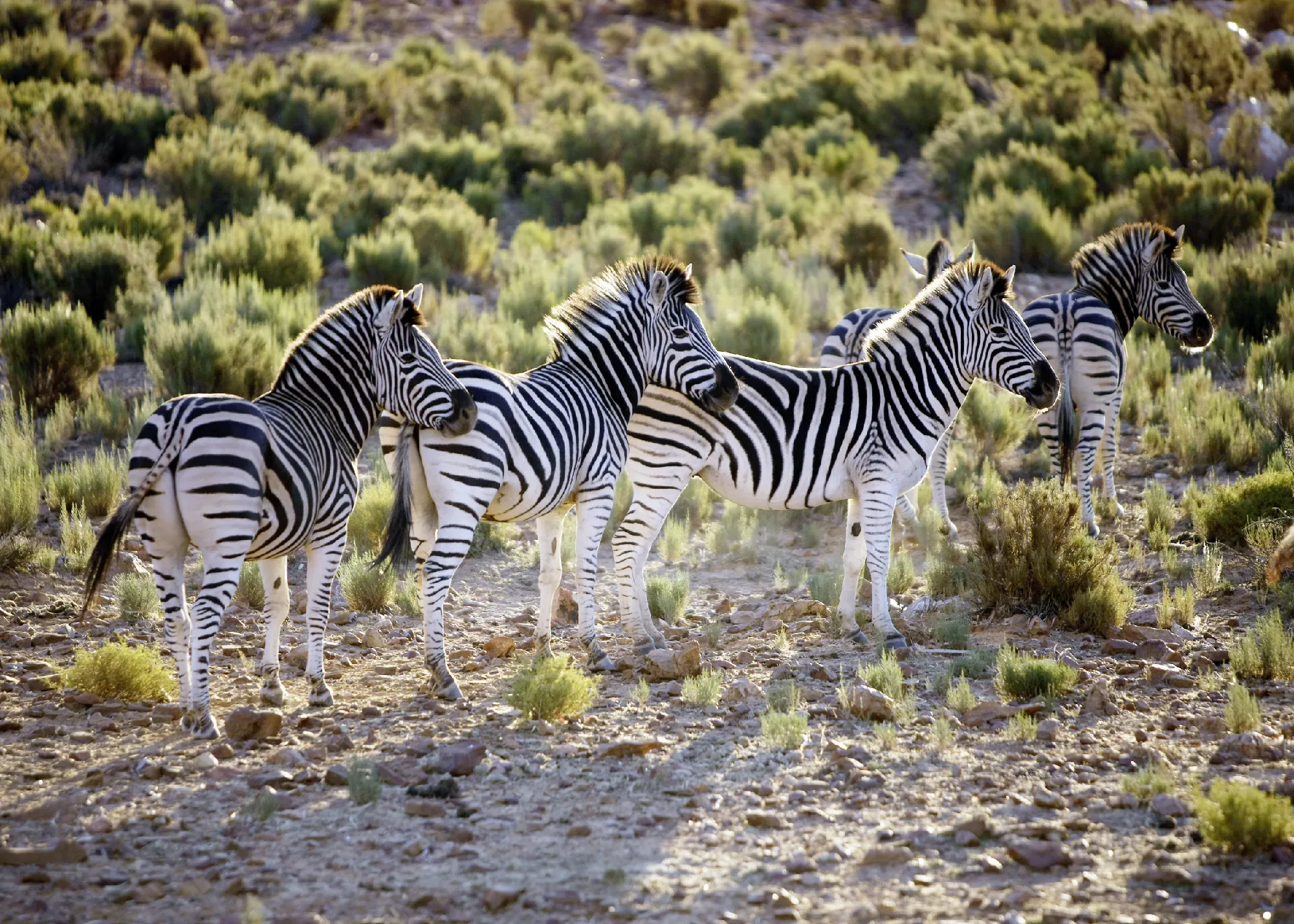 Südafrika - Impressionen