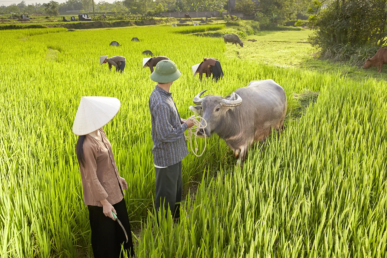 Vietnam - Treiben lassen im Fluss der Zeit