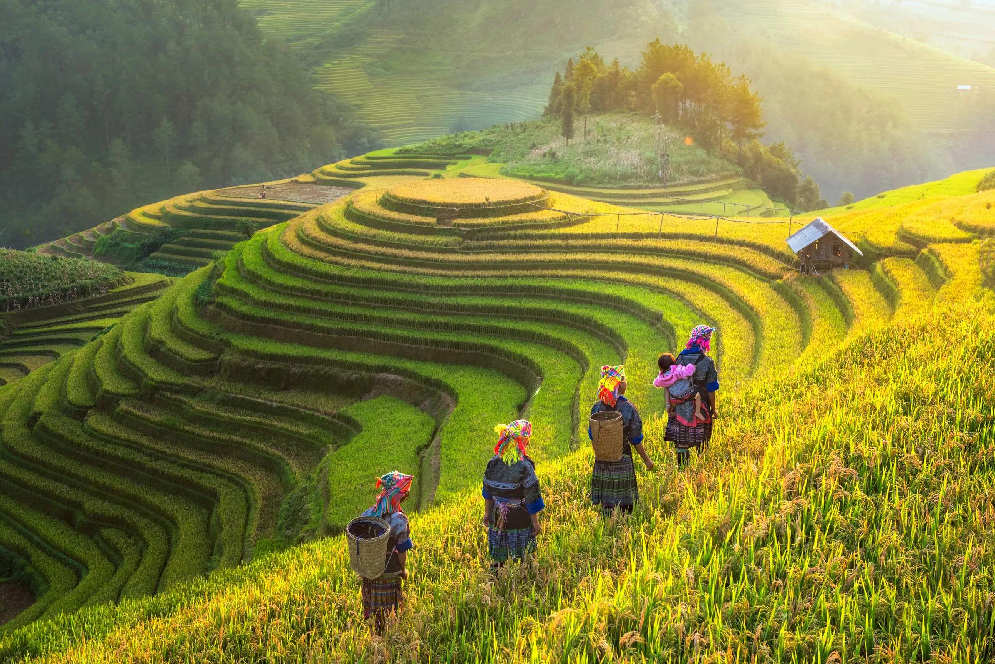 Vietnam - Treiben lassen im Fluss der Zeit