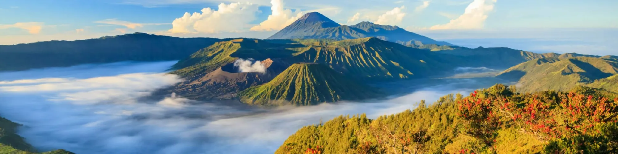 Pauschalreisen nach Indonesien background image