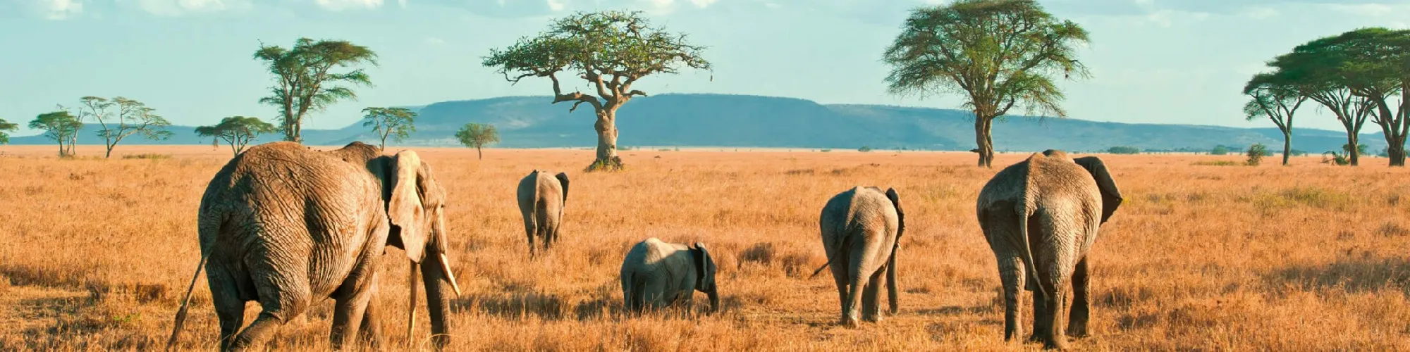 Urlaub in Tansania background image