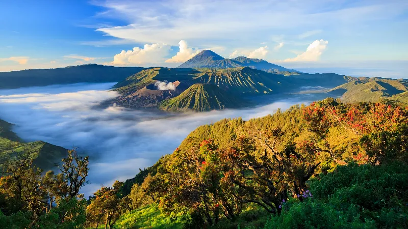 INDONESIEN | Sumatra – Java – Bali  tour offer cover